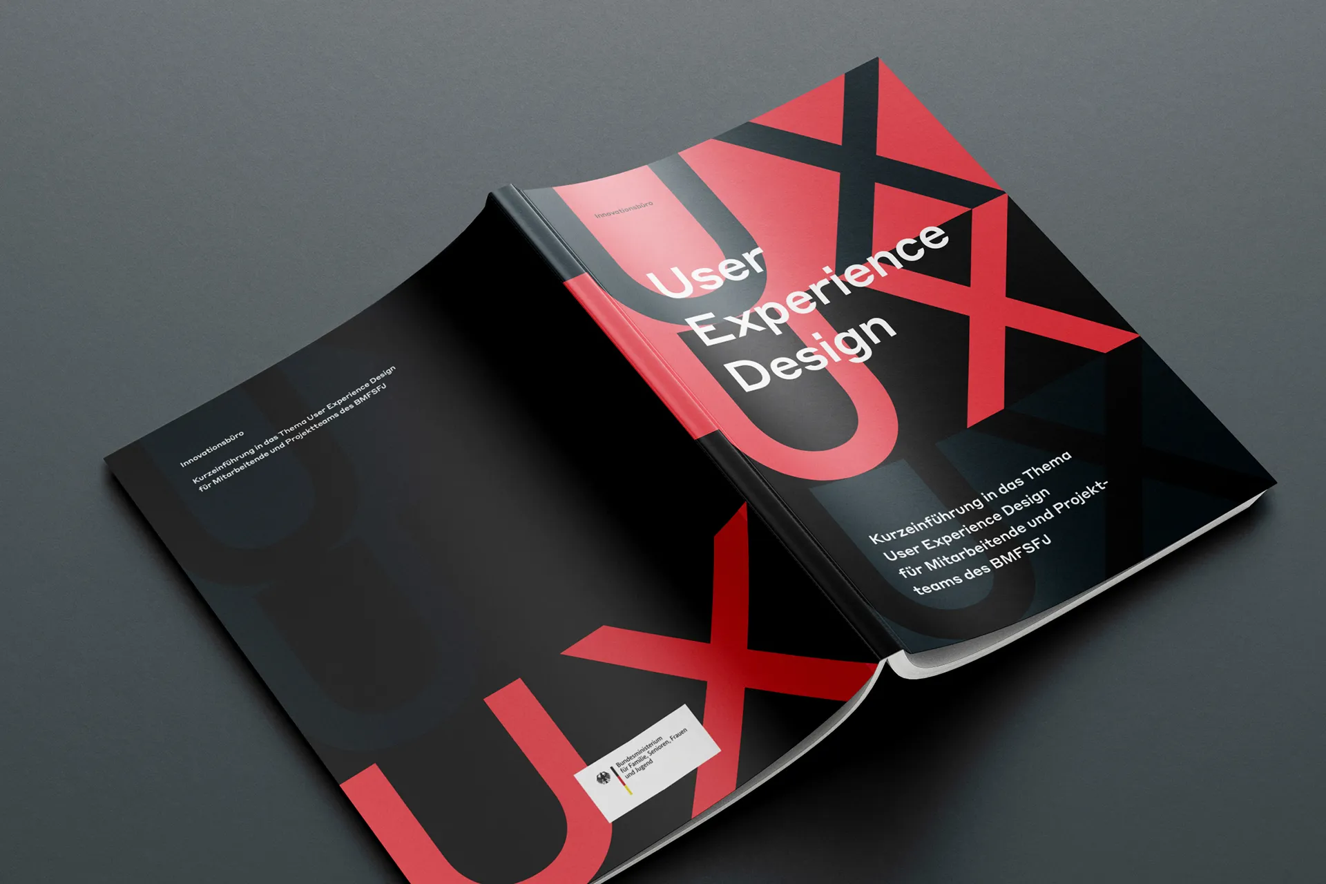 Cover Design, Umschlaggestaltung einer Broschüre zum Thema »User Experience Design« © Diemer & Schweig Designstudio