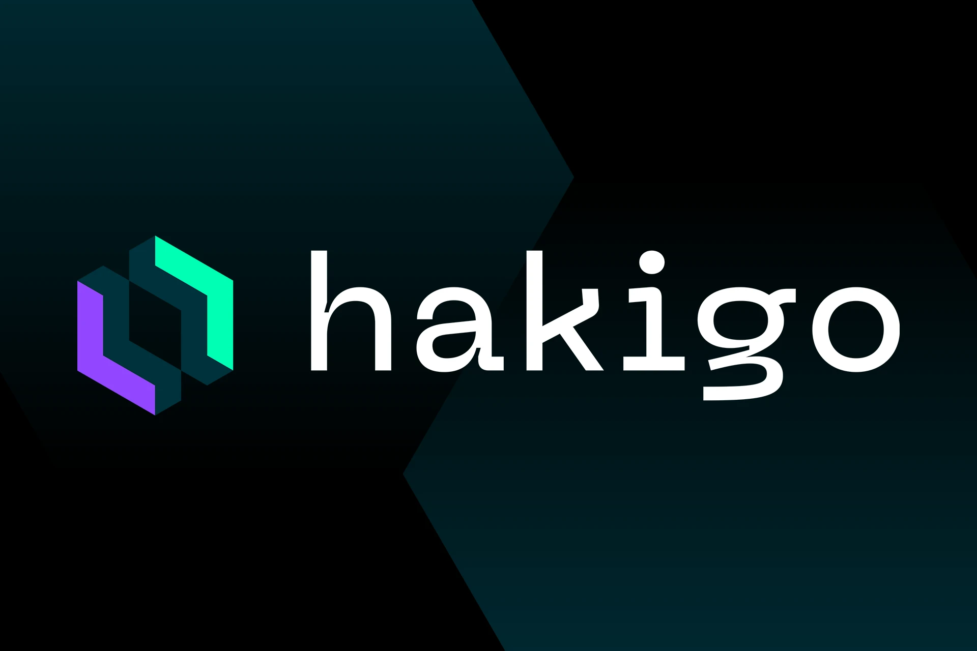 Logo Design für Softwareentwickler Branding hakigo © Diemer & Schweig Designstudio