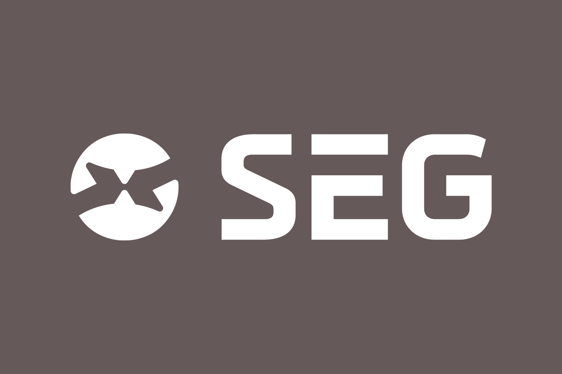 diemerschweig_logo-design_seg Logo Redesign für SEG Elektronik