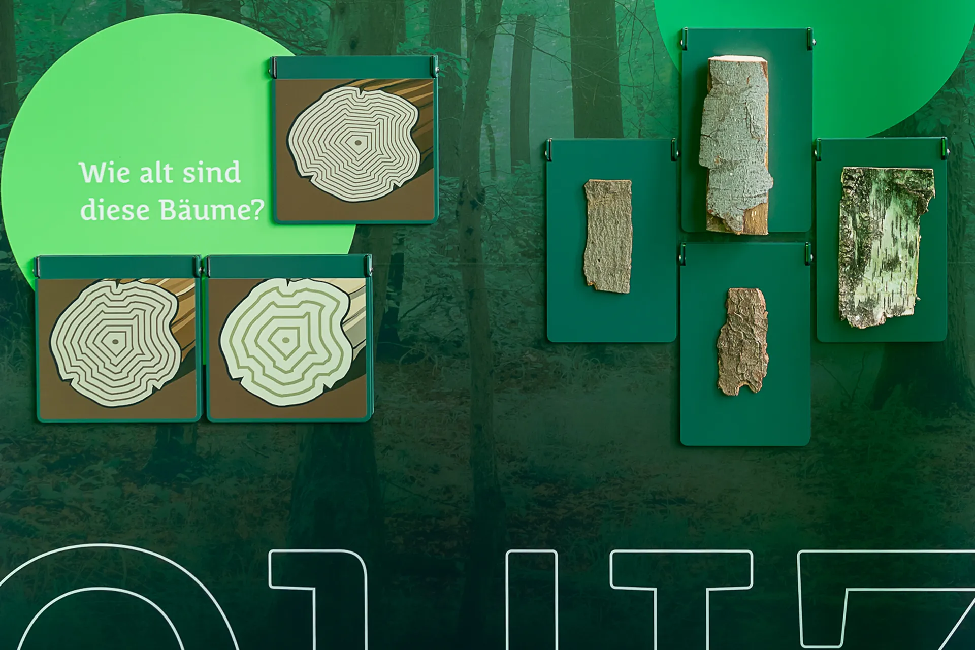 diemerschweig_tde22_02 Detail Ausstellungswand Quiz Szenografie Saarland Cube