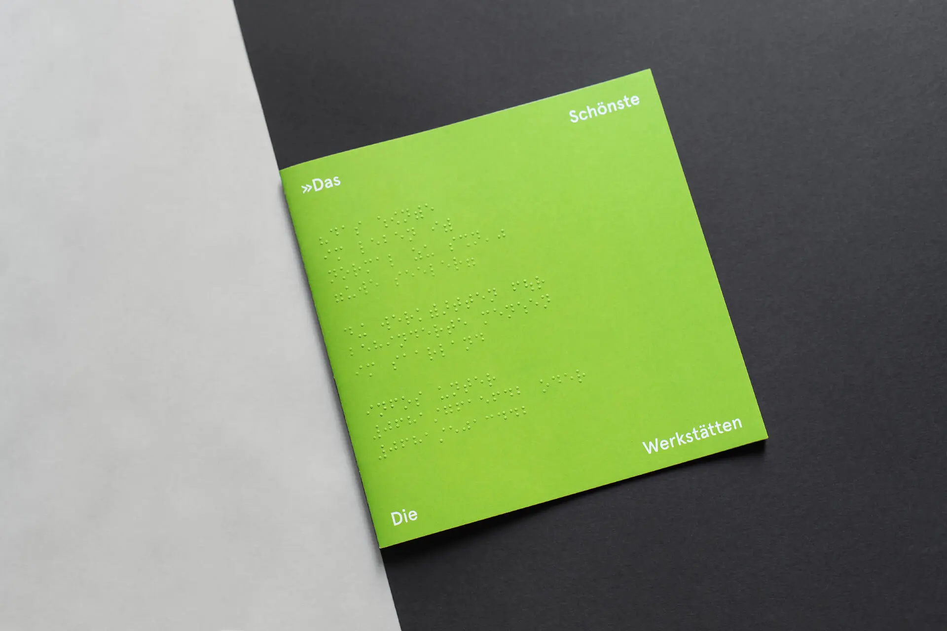 Front Cover Design, Umschlaggestaltung Vorderseite einer Broschüre mit Braille Schrift für die Landesarbeitsgemeinschaft der Werkstätten für behinderte Menschen Saarland © Diemer & Schweig Designstudio